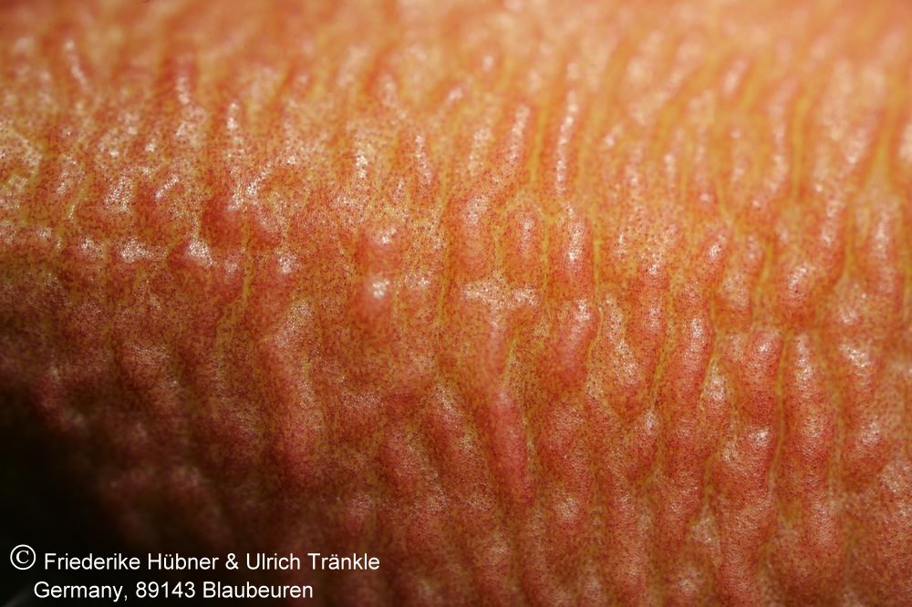 Fotoausstellung Orbea